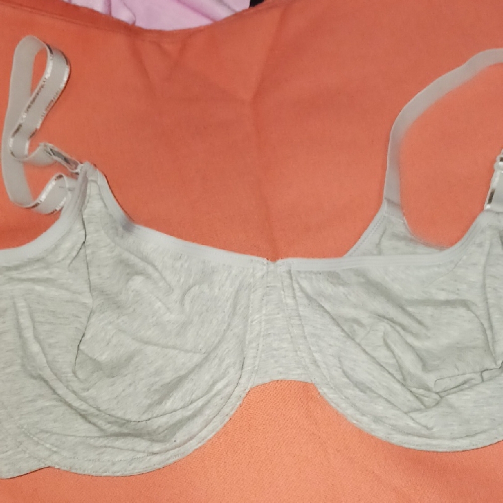 Fruit of the Loom Light Gray Underwire Bra